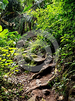 Uttaradit Province, Thailand - July, 24, 2023 : Scenic of Nature at Phu Soi Dao National Park, north of Thailand.