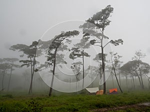 Uttaradit Province, Thailand - July, 24, 2023 : View of Phu Soi Dao National Park, north of Thailand.