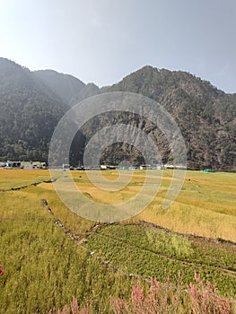 Uttarakhand, India - April 4th, 2021 : Rishikesh, yoga city India, Gange River valley, Ganga, mountains