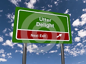 utter delight next exit traffic sign on blue sky