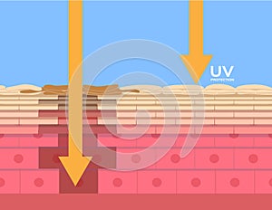 Uv protection , ultraviolet comparison