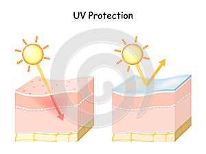 Uv ray protection for sensitive skin with sunscreen lotion photo