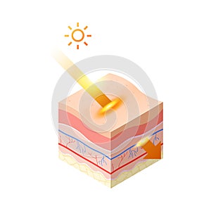 Uv ray from sun penetrate into epidermis of skin cross-section of human skin layers structure skincare medical concept