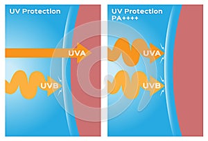 Uva uvb protection photo