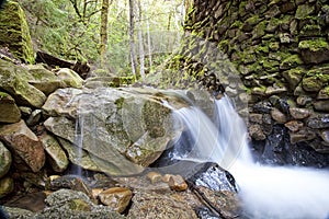 Uvas Canyon Waterfall 1