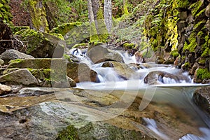 Uvas Canyon Waterfall 2