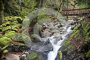 Uvas Canyon Waterfall and Walkway