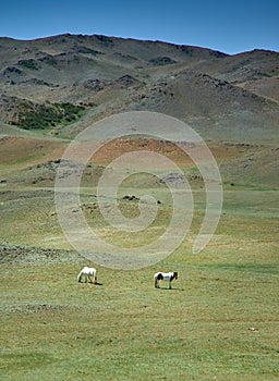 Uvs Province in Mongolia