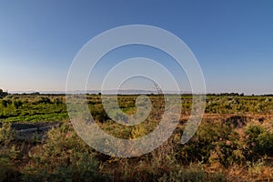 Uzbekistan Steppe on a sunny day