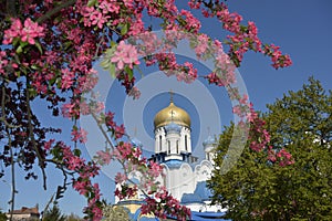 Uzhgorod - the Cathedral of Christ the Savior