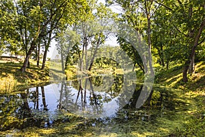 Uzutrakis manor gardens landscape. Manor park pond