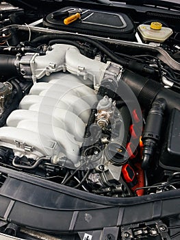 V10 engine under hood