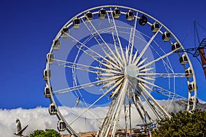 V&A  Victoria and Alfred  waterfront cape giant wheel in cape town
