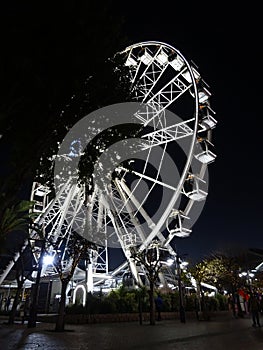 V&A Waterfront Big Wheel & Table Mountain Cape Town South Africa