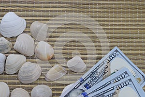 Vacaciones, seashells lie on the beach cover photo