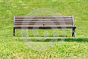 Vacant bench park frontal view