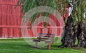 Vacant bench under willow tree