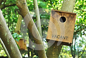 Vacant Bird House