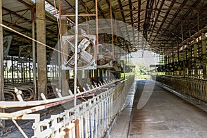 Vacant factory building of a professional dairy farming base