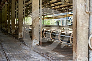 Vacant factory building of a professional dairy farming base