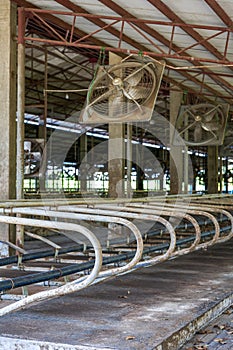 Vacant factory building of a professional dairy farming base