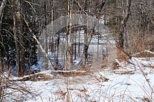 Vacant house lot with a stream in the background