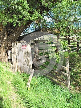 Vacant house with rundown yard