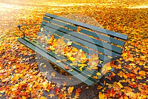 Vacant park bench in autumn