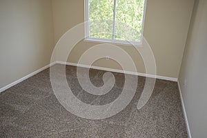 Vacant Room with Professionally Cleaned Carpet