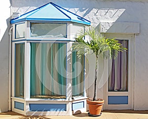 Vacant Storefront with palm tree