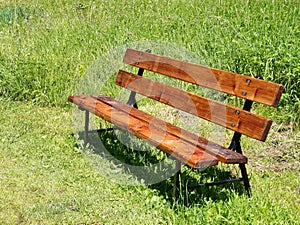 Vacant wooden bench in the park in summer