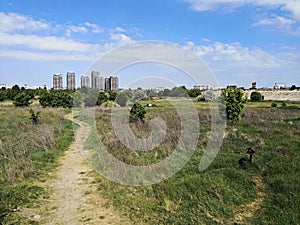 City suburbs with lake ecosystem