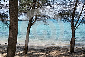 Vacation as island sky. Out door. Nature summer beautiful water blue sea and beach. Branch.