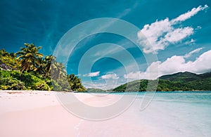 Vacation holiday panoramic background wallpaper. Palm trees on tropical secluded sandy beach. Blue sky with white clouds