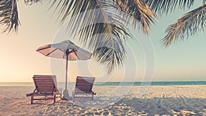 Bellissimo antico Spiaggia. tropicale natura scena. Palma alberi un cielo blu. estate vacanza un vacanza 