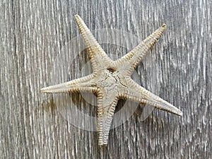 Vacation holyday and travel starfish