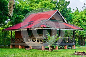 Vacation housing. A house in the jungle on an island