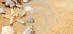 Vacation memories from beach, seashell and starfish. Summer beach background travel concept. Banner.Copy space for text