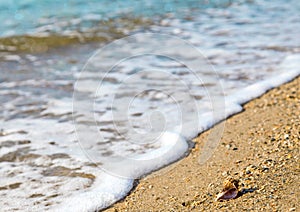 Vacation relax concept, sea landscape with shell, waves