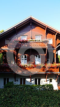 Home And Flowers Balcony