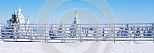 Vacation rural winter background with white pines, fence, snow field, mountains