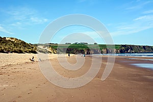 Vacationers and tourists stroll along the wide beach of the sea coast. In the foreground are thickets of grass