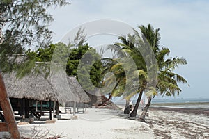 Vacations in Dar es Salaam photo