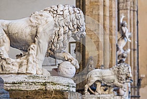 Vacca`s lion Medici lion. Marble sculpture in Florence, Italy