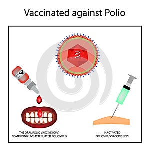 Vaccinations against poliomyelitis. World Polio Day. Inactivated poliomyelitis vaccine.