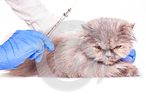 Vaccinations for animals in a veterinary clinic