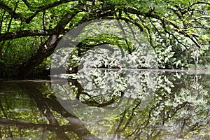 Vacratot arboretum in Hungary