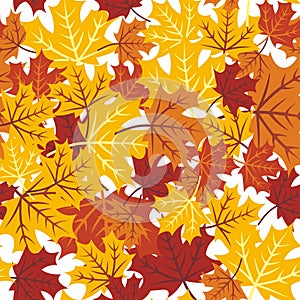 Vactor dry Maple Leaves  on white background seamless background wrap paper wallpaper poster