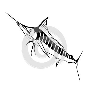 Vactorized Striped Marlin illustration