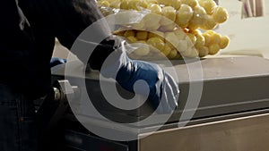 Vacuum packaging of fresh peeled potatoes in transparent plastic bag. worker put bag of vegetables on device for